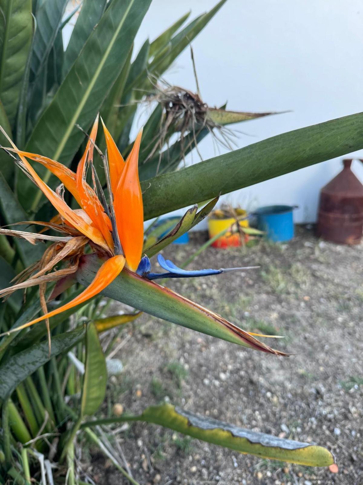 Monte Santo Villa มอนตาจิล ภายนอก รูปภาพ